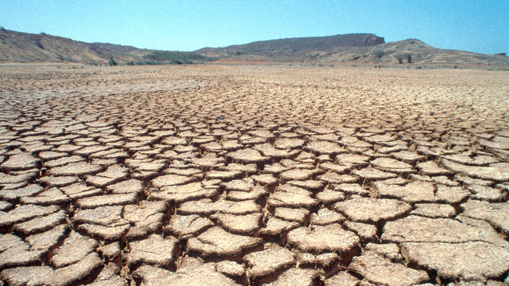 Reporte de la UNAM sobre cambio climático urge a tomar medidas de adaptación y mitigación