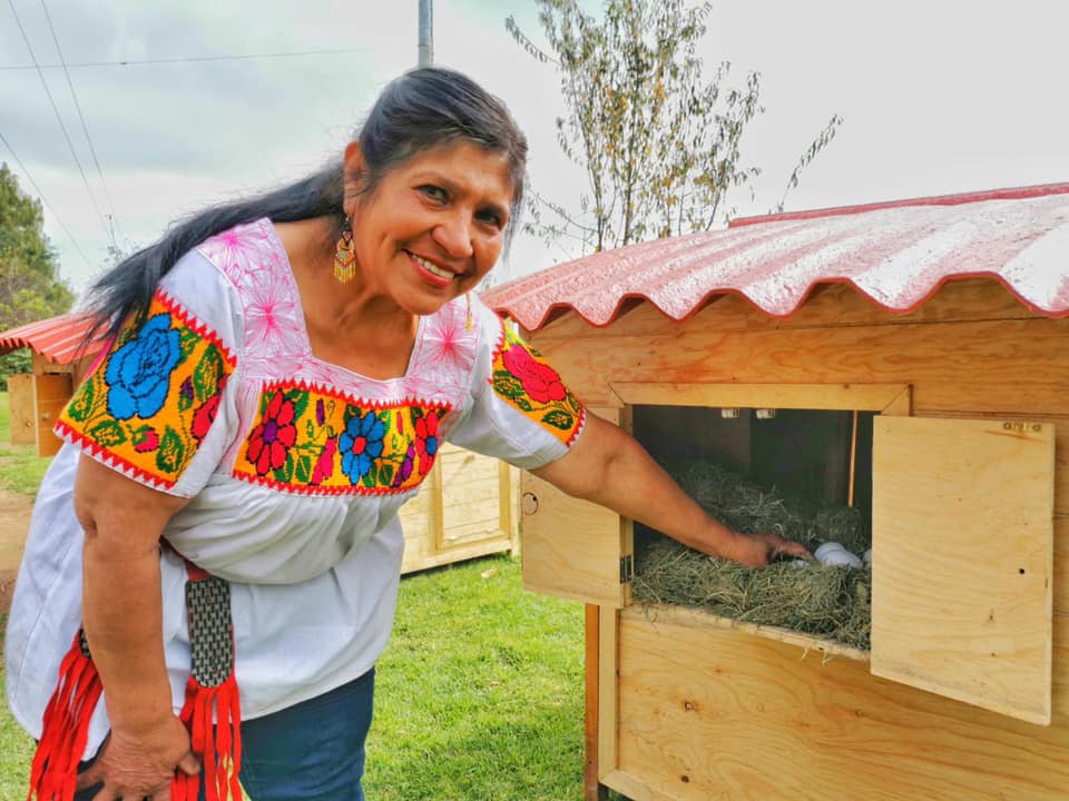 Mujeres promueven el desarrollo sostenible en comunidades rurales.