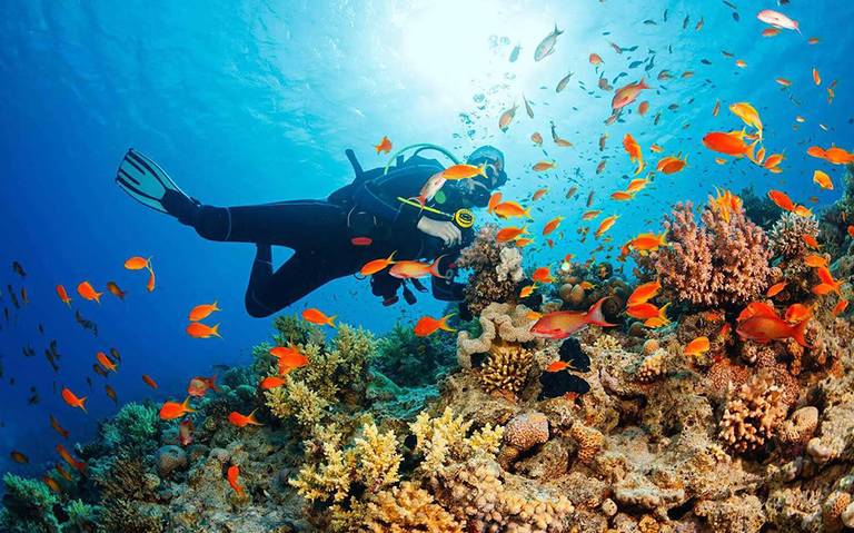 México desarrolla estrategia hacia un turismo sostenible basado en el océano.