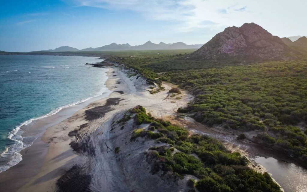 Cabo Pulmo, un tesoro del Mar de Cortés amenazado por el desarrollo inmobiliario.