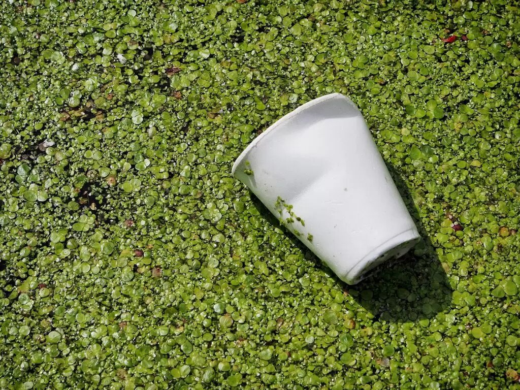 Plásticos biodegradables prometen un futuro más verde.