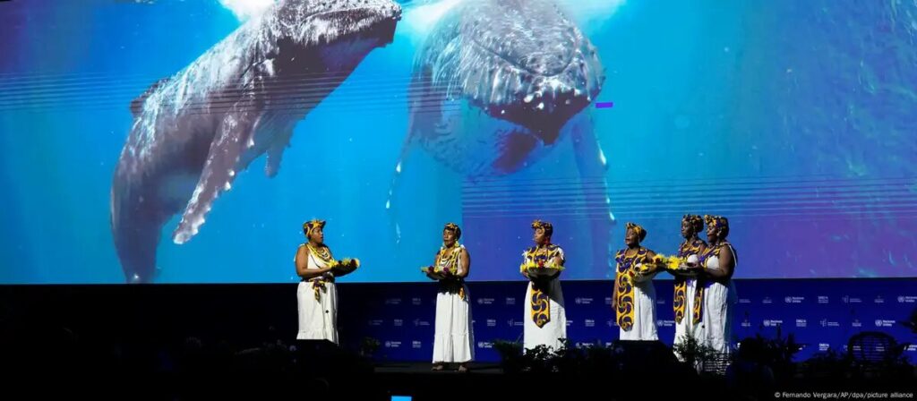 Ante crisis climática, llaman a buscar la paz con la naturaleza en la COP 16.