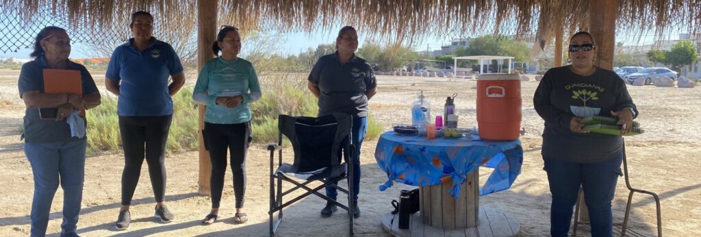 Guardianas del Conchalito, las mujeres que protegen y educan en el manglar