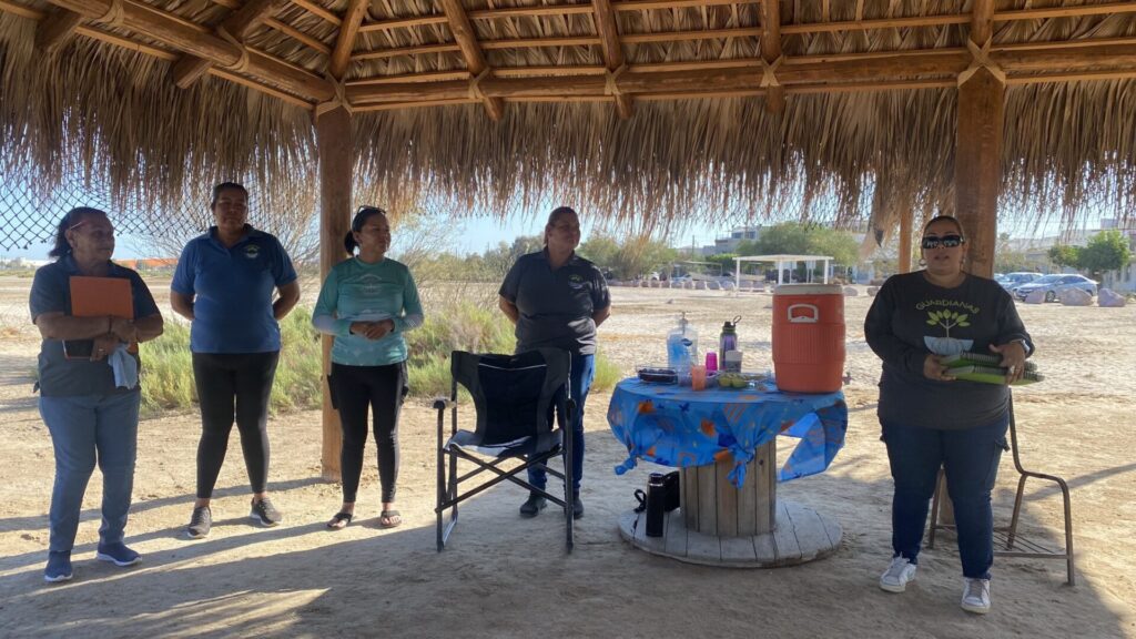 Guardianas del Conchalito, las mujeres que protegen y educan en el manglar.