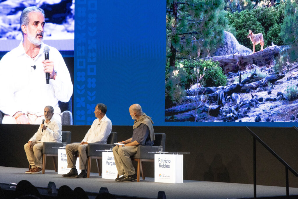 Promueven en Summit 2024 adopción de árboles para ayudar en la conservación de parque nacional.