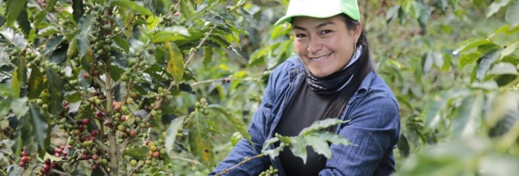 Colombia apuesta por la Inteligencia Artificial para impulsar la formalización laboral en el sector cafetero.