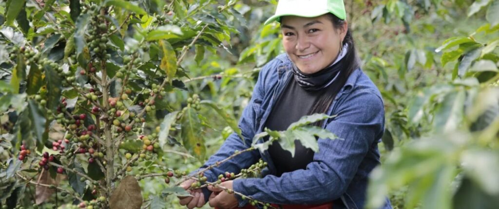 Colombia apuesta por la Inteligencia Artificial para impulsar la formalización laboral en el sector cafetero.