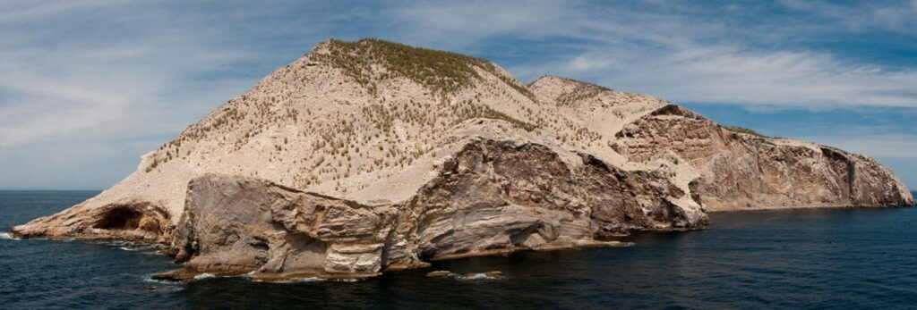 Isla de San Pedro Mártir es recertificada en la Lista Verde de Áreas Protegidas y Conservadas