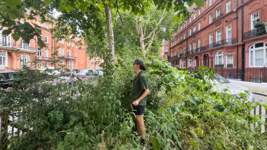 Microbosques urbanos, los pulmones verdes que necesitan nuestras ciudades