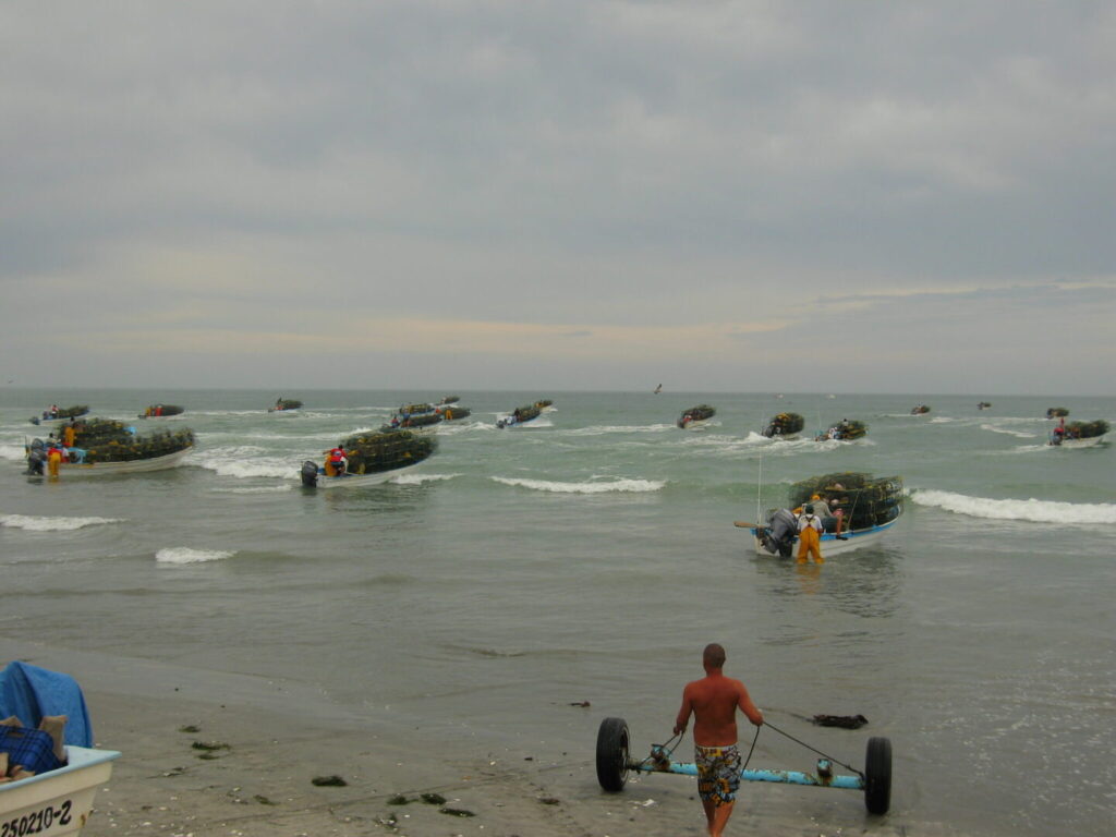 Olas de calor marinas amenazan la pesca en Baja California