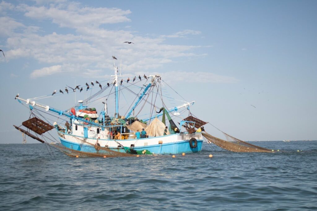 Marine Monitor reduce un 92% la incidencia de pesca ilegal en el noroeste de México