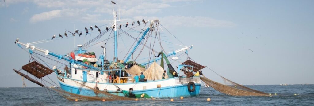 Marine Monitor reduce un 92% la incidencia de pesca ilegal en el noroeste de México