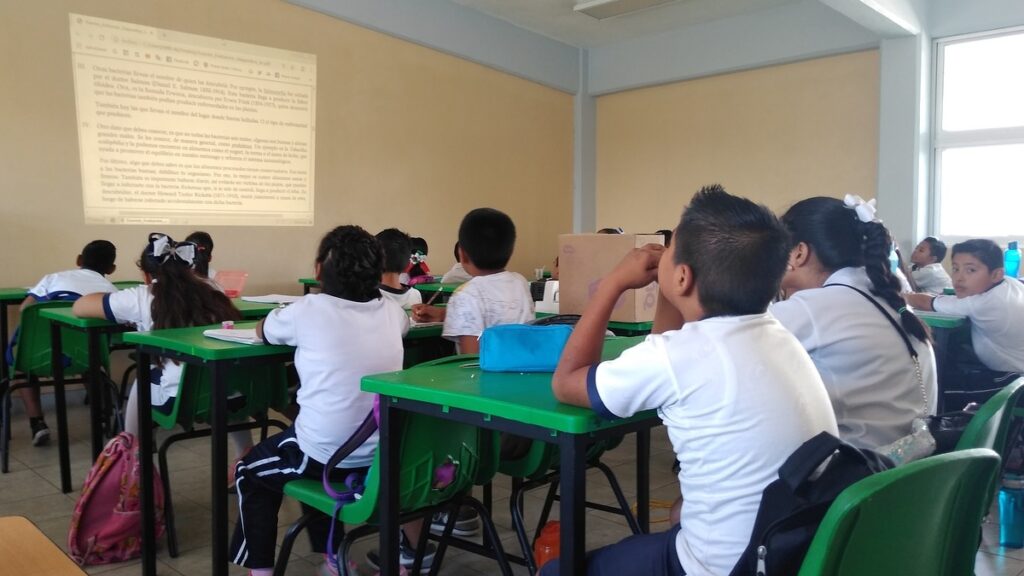 México, entre los países de la OCDE con mayor desigualdad educativa y menor inversión por estudiante