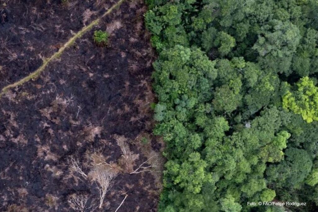 Invertir en el planeta podría generar hasta 100 billones de dólares y salvar millones de vidas: ONU