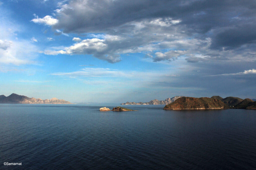 Salvar el Golfo de California empieza en tierra firme, con enfoque “de la cuenca al mar”, destaca especialista