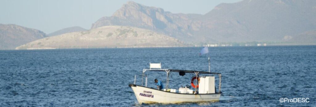 UNESCO mantiene al Golfo de California en la Lista del Patrimonio Mundial en Peligro y pide evaluar proyecto de gas
