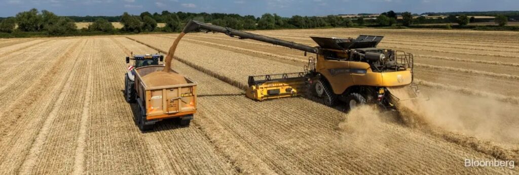Precios agrícolas bajo presión: guerra y clima agitan los mercados mundiales.