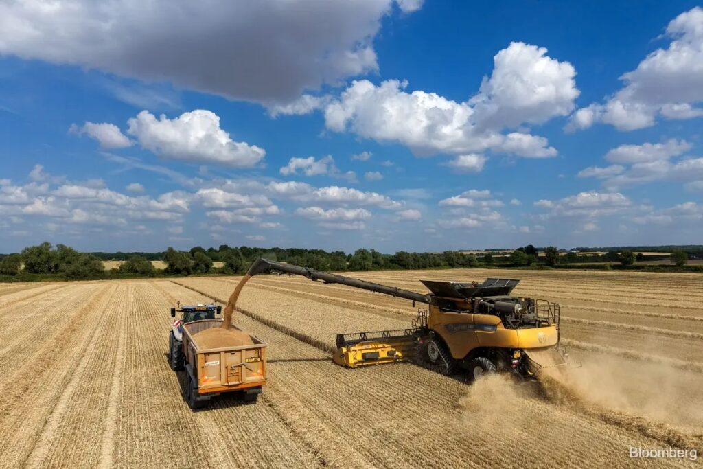 Precios agrícolas bajo presión: guerra y clima agitan los mercados mundiales.